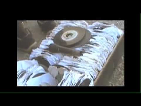 dub echoes movie cd rom