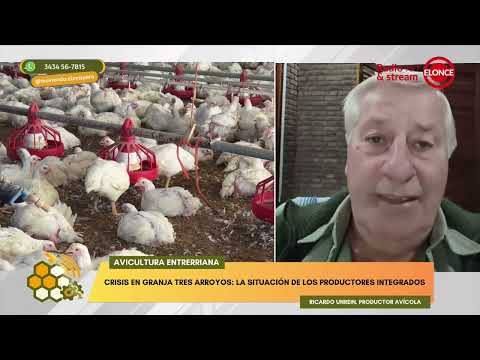 MOVIENDO EL AVISPERO - CRISIS EN GRANJA TRES ARROYOS: LA SITUACIÓN DE LOS PRODUCTORES INTEGRADOS