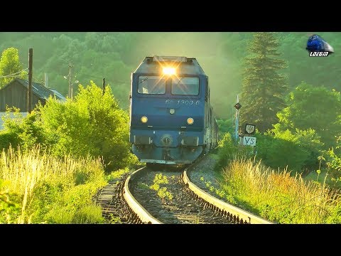 Horns Concert de Goarne By GM 65-1300-6 pe Apus/on Sunset in Apuseni Mountains - 09 July 2017