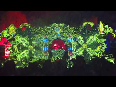 Electrypnose at Wild Horses Festival Australia 2022