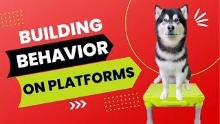 Adding Distance with Platforms