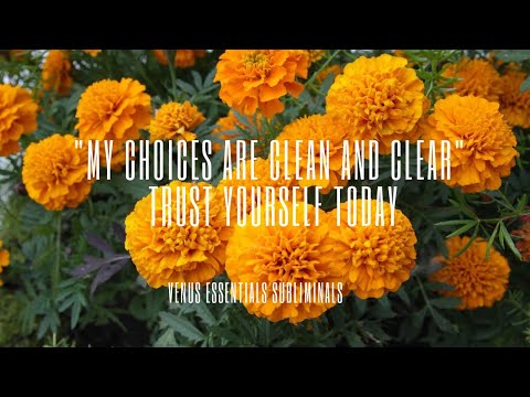 "My Choices are Clean and Clear" | Trust Yourself and Inspire Clarity Today