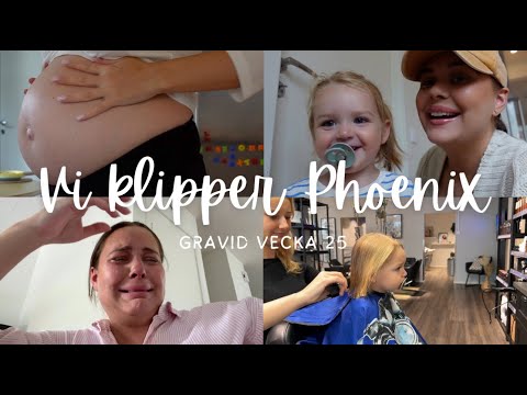 GRAVID VECKA 25 - VI KLIPPER PHOENIX