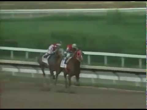 Copa Confraternidad 2006 - Miracle Man (JAM)