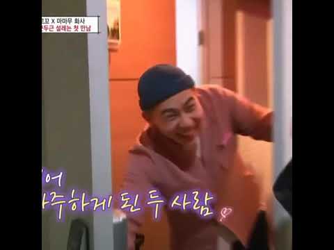 Hwasa 화사 on Instagram “their first meeting was so.mp4