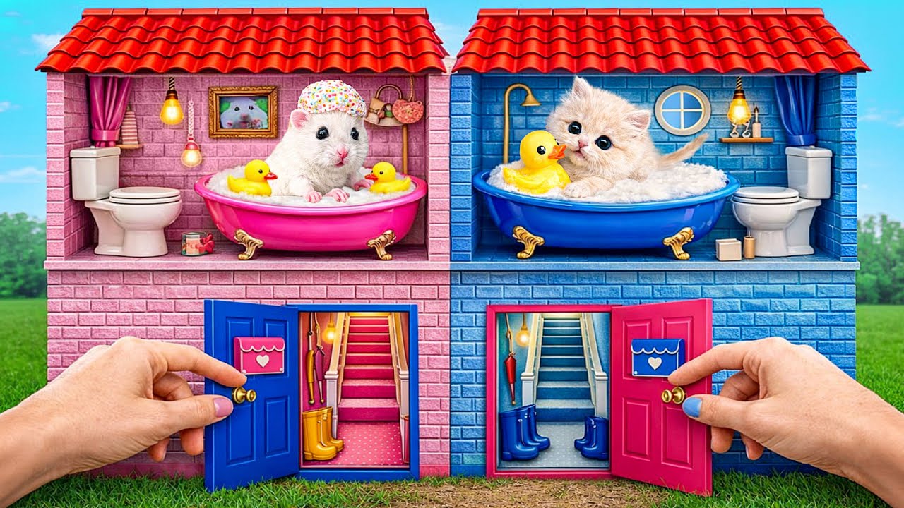 ペット用の小さな家を建てます | 驚くべきハックとトリック Multi DO Smile