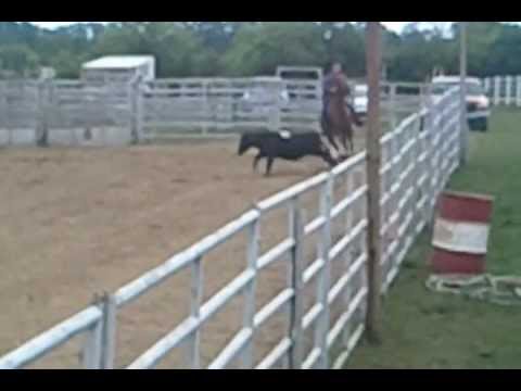 Pine River Stables Team Penning 6.22 Tom & Micky