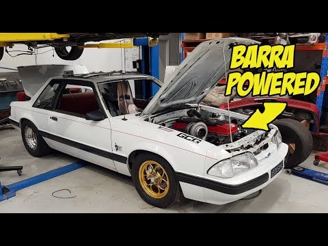 Carnage Plus EP25 - Barra Mustang and More