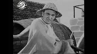 Stála basa (Official video)