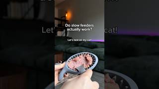 Download lagu Do Slow Feeders ACTUALLY Work? 🧐 Let’s Test! #cat #catasmr #slowfeeder #catshorts #catvideos #cute mp3 Download lagu Do Slow Feeders ACTUALLY Work? 🧐 Let’s Test! #cat #catasmr #slowfeeder #catshorts #catvideos #cute mp3