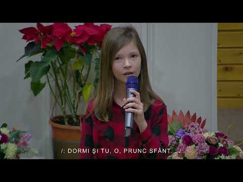 O noapte preasfintita - Anna Danut -