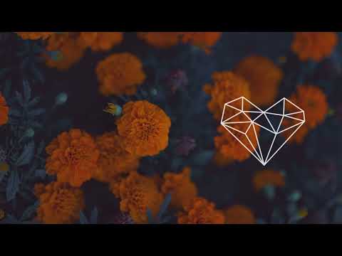 Amir Telem - Giridhari (Original Mix) [Organic House 2022 / HMWL]