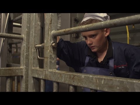 trailer