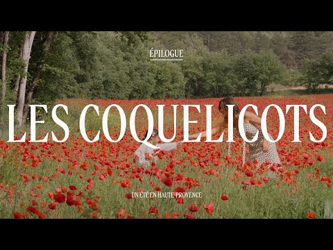 Un été en Haute-Provence, Epilogue, Les Coquelicots