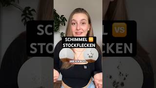 Schimmel oder Stockflecken? 😳 So erkennst du den Unterschied 👉 Tipps zur Entfernung & Vorbeugung!