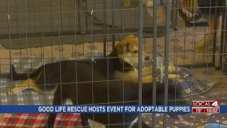 The Good Life Rescue hosts event at Petsense