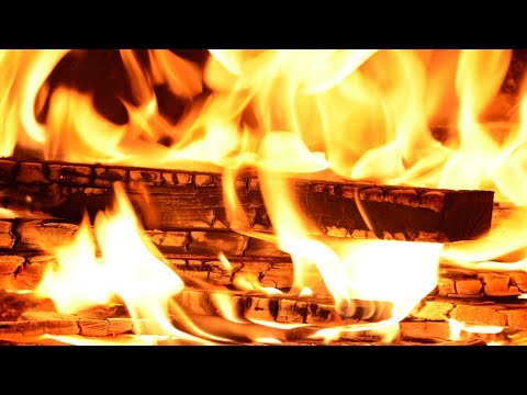 Sounds of nature to sleep and relax without ads 2020/21 | CRISPY WOOD |