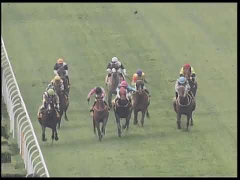 2019-03-03 Race 4(0172) - MACAU HONG KONG TROPHY (GROUP 1)