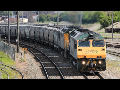 Roaring EMDs - SSR RL306, 4908 & RL302 - 8242 Loaded Grain - Goulburn NSW