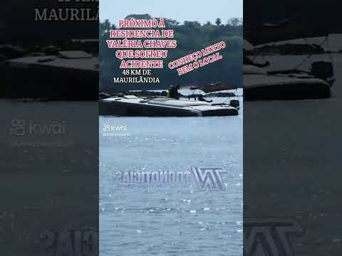 ônibus cai em rio em Tocantins