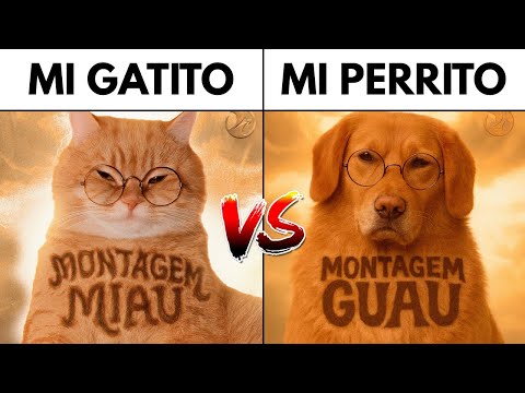 Montagem Miau vs Montagem Guau (Ay Mi Gatito Miau vs Ay Mi Perrito Guau)