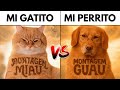 Montagem Miau Vs Montagem Guau Ay Mi Gatito Miau Vs Ay Mi Perrito Guau