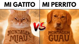 Download lagu Montagem Miau vs Montagem Guau (Ay Mi Gatito Miau vs Ay Mi Perrito Guau) mp3