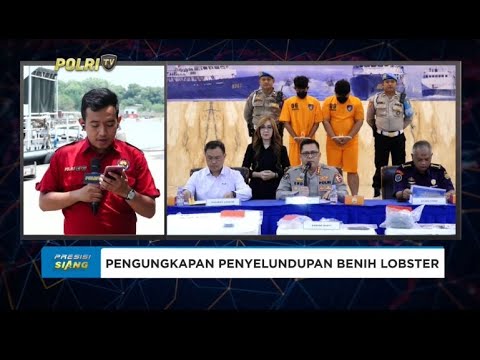 LIVE PENGUNGKAPAN KASUS BENIH BENING LOBSTER