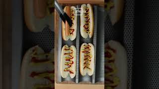 Cute Dog reviews HOT DOG Sausages for favourite Hot Dog Recipe #shorts