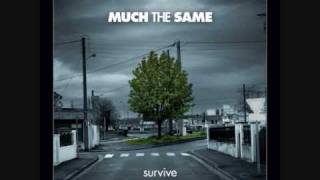 Picking Up The Shattered Pieces - Much The Same