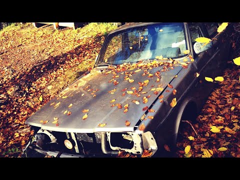 VOLVO 240 GLT - Skogsvrak @ KALLINGE - 201028 (Ronneby - Blekinge) - Huawei P30 PRO