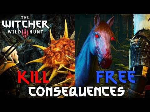 THE WITCHER 3 - The Whispering Hillock: KILL or FREE the Spirit? - All Consequences [4K, 60fps]