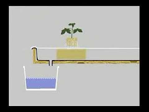 Ready-Set-Grow Vol 2 Part 3 Of 7