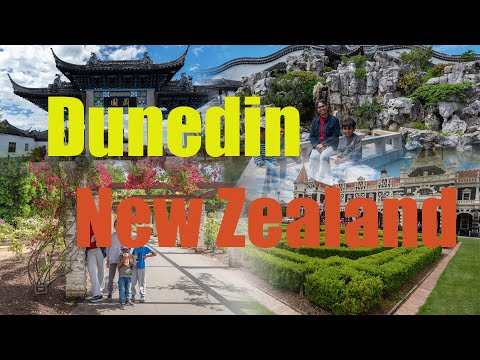 Dunedin New Zealand - Day3