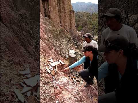 ¿DINOSAURIOS EN TARIJA? 🦴 ¡MIRA ESTE HALLAZGO!