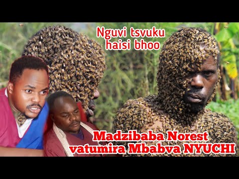 Team ye nguvo tsvuku iri dangerous Madzibaba norest vatumira munhu Nyuchi Hona Video iri  Rinotyisa