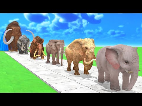 Paint Animals Mammoths and Elephants Size Comparison Fountain Crossing Animal Cartoon