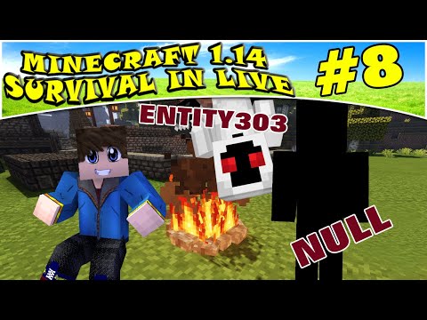 008 - La VERA storia di ENTITY303 e NULL!!!  MINECRAFT SURVIVAL IN LIVE ITA