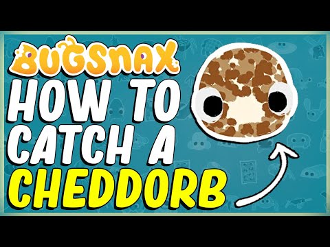 HOW TO CATCH A CHEDDORB IN BUGSNAX LAND OF BIGSNAX - BROKEN TOOTH - BUGAPEDIA