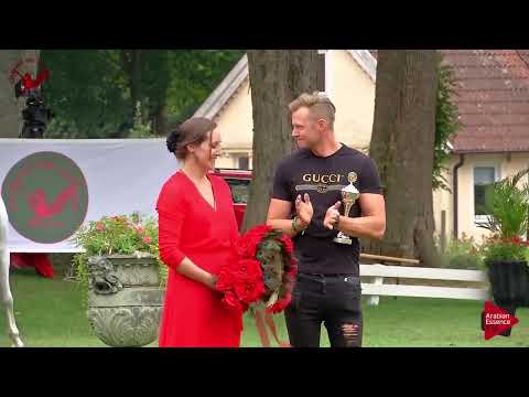 Scandinavian Open Championship 2018 - Most Classic Head