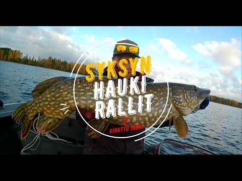 SYKSYISET HAUKIRALLIT