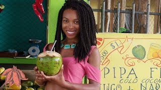 Costa Rica Vlog Part 2 | Sámara, The Best Little Beach Town