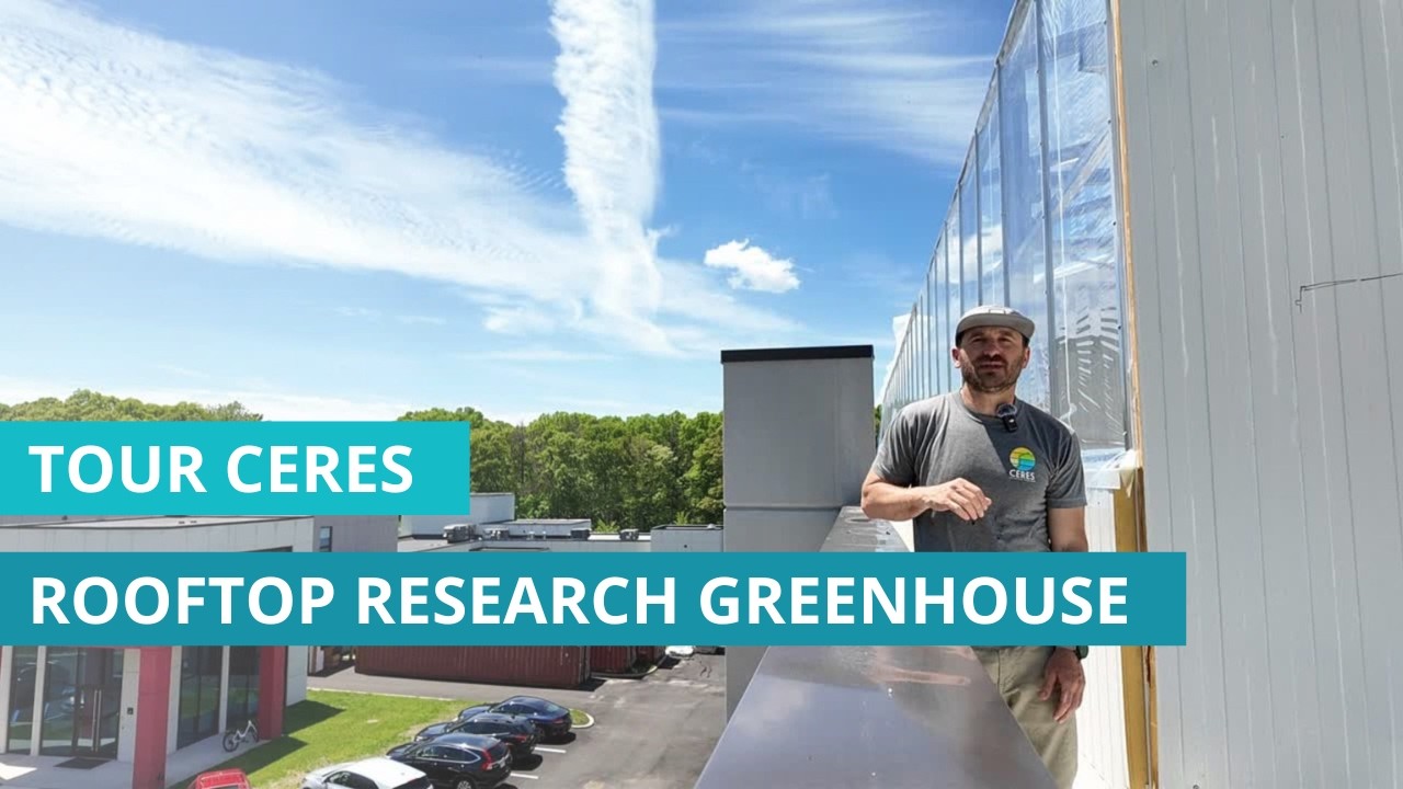 Rooftop greenhouse