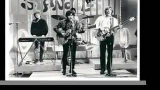 The Standells - Sometimes Good Guys Don&#39;t Wear White