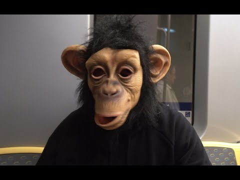 Bonobodu28 Stunfest 2018 Partie 1: Chillin'