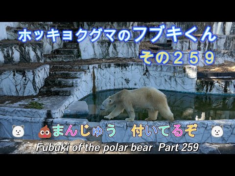 Vodafone の終了: 契約はわずか数ステップで無効になります