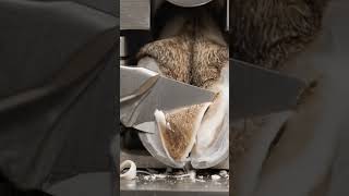 Auto Goat Hoof Press-Cutter — Toe Edge Micro-Round #HoofTrimming #Goat #asmr