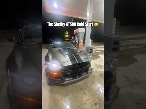 Thumbnail for The Shelby GT500 Cold Start 🥶 #dsanglay #cars #shelbygt500 #mustang #ford by Shelby Mustang, Car