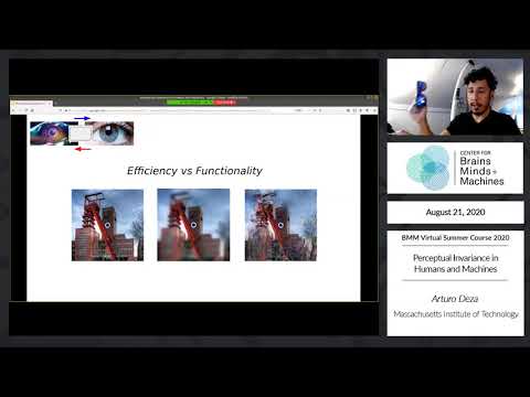 Perceptual invariance in Humans and Machines