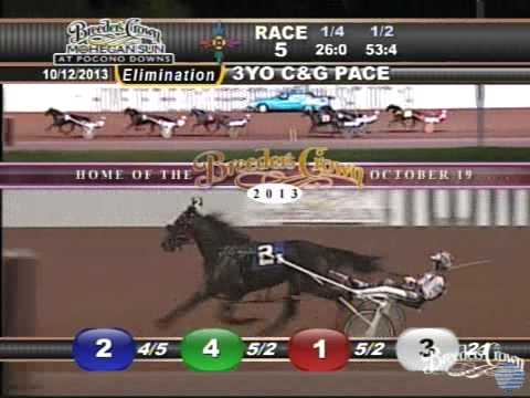 Lucan Hanover - 2013 Breeders Crown Elimination - Three-Year-Old Pacing Colts & Geldings